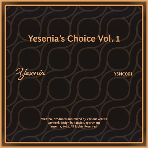 VA - Yesenia's Choice, Vol. 1 [YSNC001]